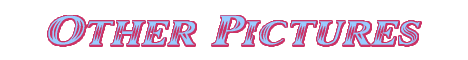 coollogo_com_6051252.gif
